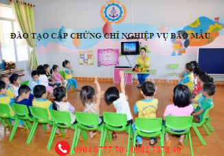 Chứng chỉ nghiệp vụ bảo mẫu