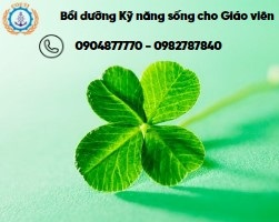 Chứng Chỉ Kỹ Năng Sống