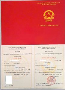 Khóa học nghiệp vụ bảo mẫu Tháng 1/2026