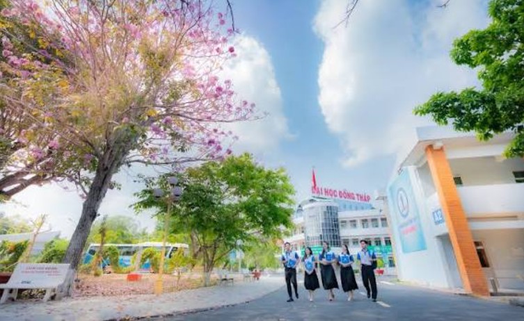 giáo dục mầm non 2026