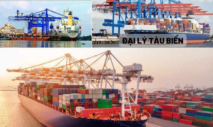 Khóa Học Đại Lý Tàu Biển T9