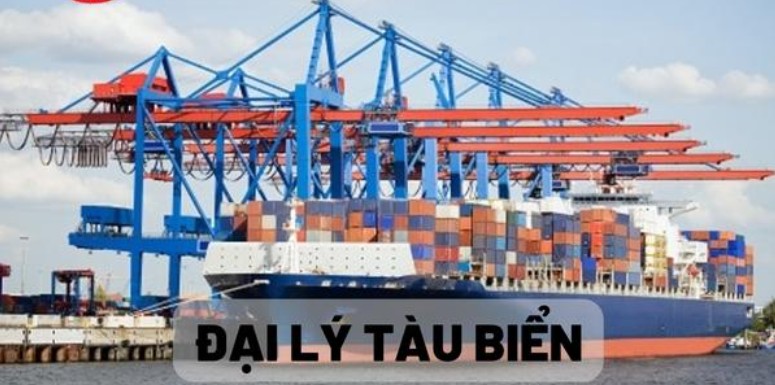 Khóa Học Đại Lý Tàu Biển T9