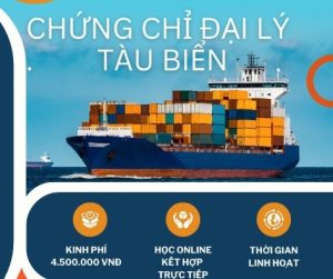 Khóa Học Đại Lý Tàu Biển T9