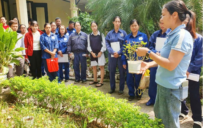 Khóa Học Trồng Và Chăm Sóc Cây Xanh 2026