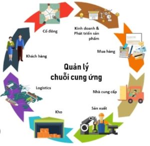 Khóa Học Cấp Chứng Chỉ Quản Lý Chuỗi Cung Ứng 2026